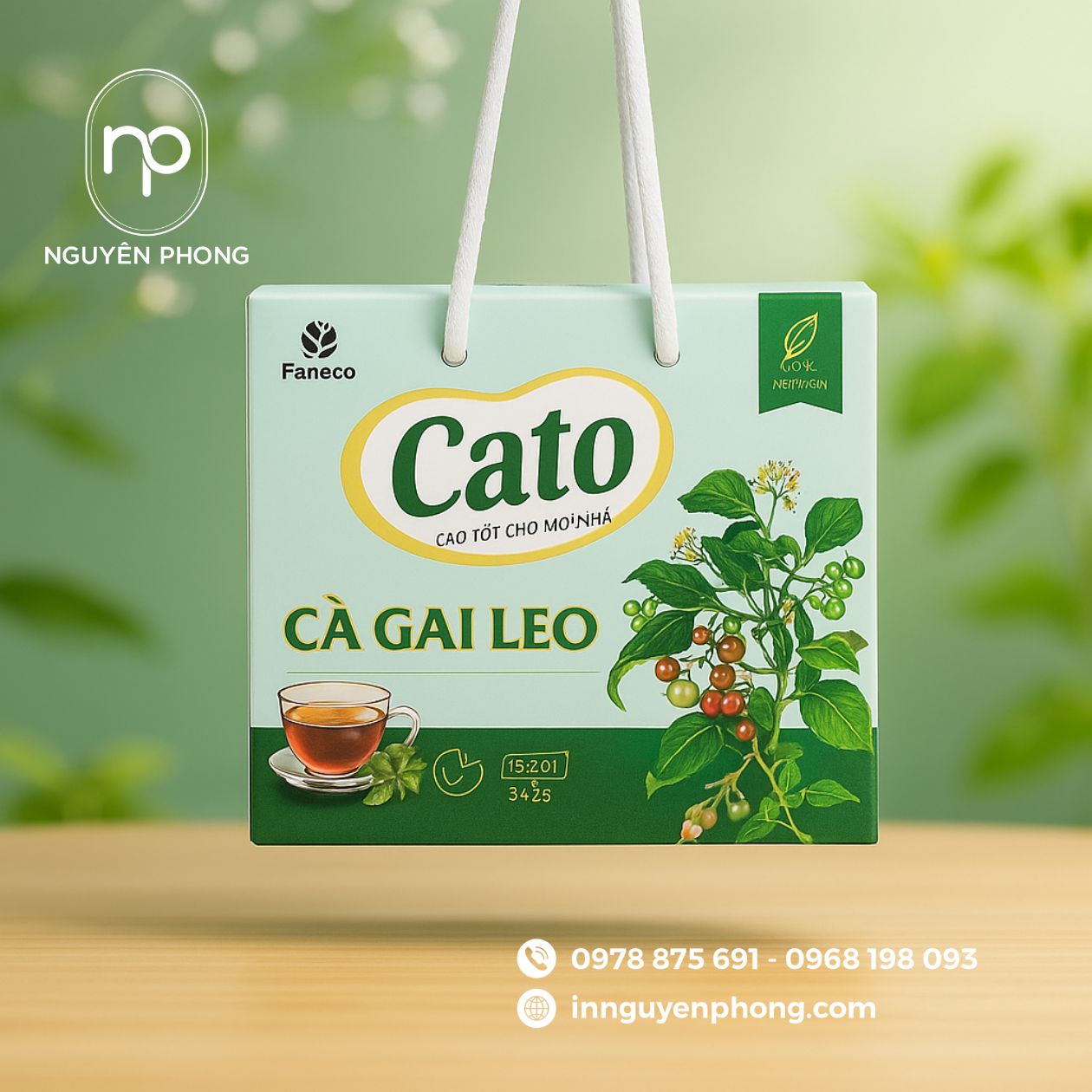 mẫu hộp đựng cà gai leo